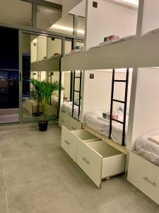 a room with bunk beds with a potted plant at Ramble Stay Hostel Burj Khalifa view in Dubai