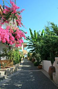 una pasarela con flores rosas y plantas en Minoica Beach Apartments, en Amoudara Herakliou