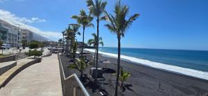 een strand met palmbomen en de oceaan bij Apartamento Sol y Playa Puerto Naos in Puerto Naos