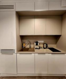 Kuchyň nebo kuchyňský kout v ubytování Apartament Mięta