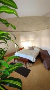 1 dormitorio con 1 cama y una planta verde en Spa Chaac en Puerto Vallarta