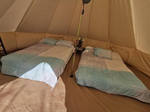 Zwei Betten in einem Zelt in der Unterkunft #Y4 Aurora Haven Yurt in Drumheller