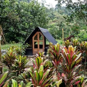 ein kleines Haus mit schwarzem Dach in einem Garten in der Unterkunft Camping La Penal in Cumandá