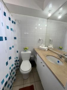 a bathroom with a toilet and a sink at Apartment Relocation San Isidro in Santiago