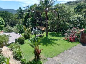 um jardim com uma palmeira e algumas plantas em Casa Vista Panorâmica em Florianópolis