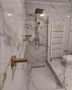 y baño con ducha y aseo. en Riverside Resort Una, en Bihać