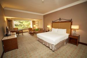 Hilton Alexandria King's Ranch Hotel客房内的一张或多张床位
