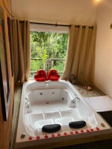 bañera grande en una habitación con ventana en Middle House, en Campos do Jordão