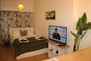 Telewizja i/lub zestaw kina domowego w obiekcie Studio La Casa De Planel Gare Saint Roch