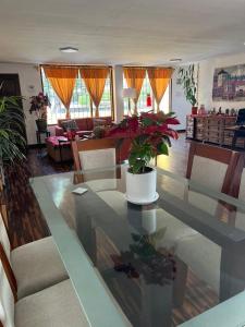a living room with a table with a potted plant on it at Harmony Inn Miraflores in Lima