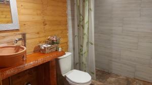 a bathroom with a toilet and a sink at Mundo Nuevo Cabañas in Ráquira