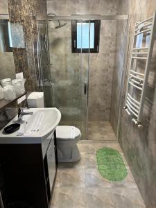 a bathroom with a shower and a sink and a toilet at Vila Agata in Sinaia