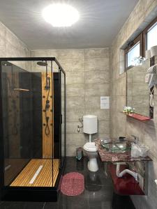 bagno con doccia e servizi igienici. di Vila Agata a Sinaia