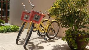 Dos motos amarillas están estacionadas al lado de una planta en Casa Lucia Hotel Boutique, en Mérida