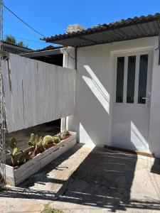 a white door of a house with a cactus at Departamentos Avellaneda in Carhué