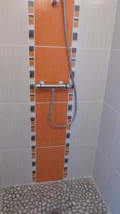 a shower with a hose in a bathroom at Apartment Le Jardinet in Talence