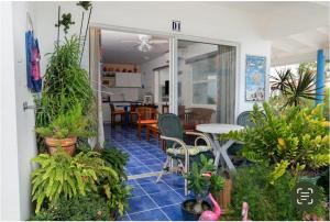 une terrasse avec une table, des chaises et des plantes dans l'établissement Marazul D1, à Westpunt