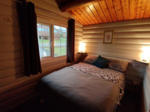 TrawsfynyddにあるSerene Snowdonia Retreatのベッドルーム1室(ランプ2つ、窓付)