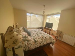 a bedroom with a bed and a television in it at Pucon departamento in Pucón +8 photos