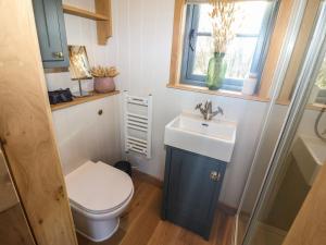 a small bathroom with a sink and a toilet at Shepherd Hut 2 in Harrogate