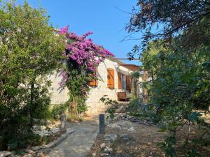 Taman di luar Holiday house with a parking space Hvar - 22224 +12 gambar