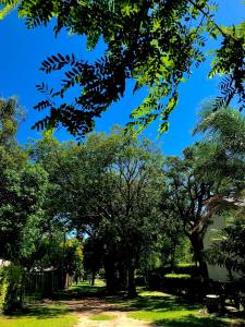 park z drzewami i niebieskim niebem w obiekcie Cabaña Las Moras w mieście San Javier