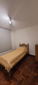 um quarto com uma cama e uma ventoinha de tecto em Departamento en el centro de Mendoza em Mendoza