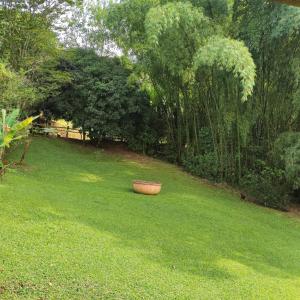 a pot sitting on the grass in a yard at La Villa The View in Pance +118 photos