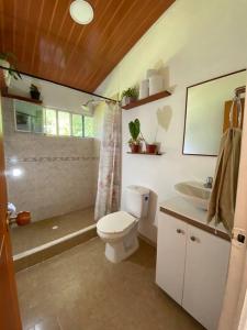 Samaná的住宿－Casa Kakawa Ecolodge，一间带卫生间和水槽的浴室