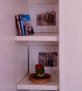una libreria con libri e una pianta sopra di Via Arriba Apartamento a Buenos Aires