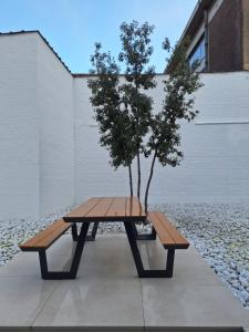 stół piknikowy z drzewem siedzącym obok budynku w obiekcie Huis ALNA 5 w mieście Mechelen