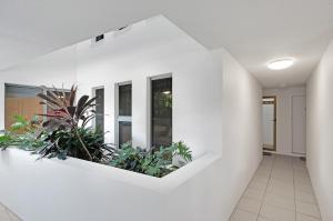 un corridoio con pareti e piante bianche di Silver Sea on Sixth Resort a Maroochydore