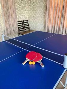 una mesa de ping pong con una tortuga de juguete. en sunset hills - Vacation STAY 21373v, en Hamada