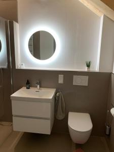 a bathroom with a sink and a toilet and a mirror at Modernes Apartment am Waldrand in Geisenheim