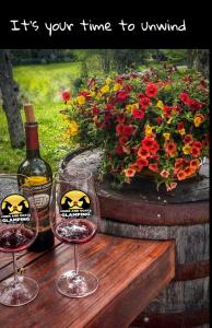 a bottle of wine and two wine glasses on a table at Luxury Glamping Geodome-Hot tub, Winery in Banner Elk