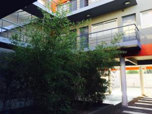 un edificio con un árbol delante de un edificio en Apart Hotel Cañuelas en Cañuelas