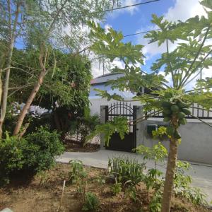 Fotografie z fotogalerie ubytování Maison moderne à marigot v destinaci Marigot