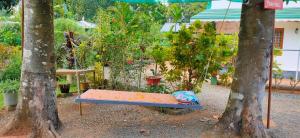 Zahrada ubytování Kuttickattil Pool Home Stay Kumarakom