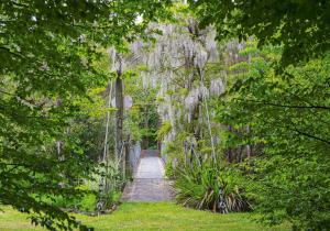 a garden with a walkway with hanging plants at TePopo Gardens Rural Retreat in Stratford