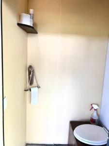 a bathroom with a toilet and a sink at Maui Homestay in Tohautu
