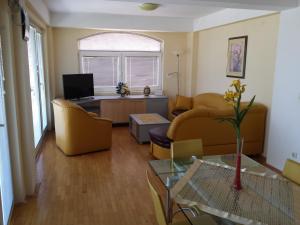 a living room with a couch and a table at Gjole Apartments in Lagadin