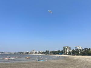 孟買的住宿－Classy & Cozy 1BHK @ Ville Parle Mumbai，水面上和城市里都有船只的海滩