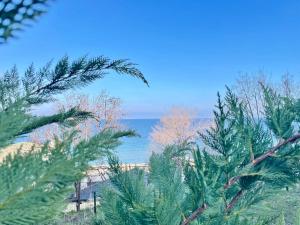 una vista del océano desde detrás de algunos árboles en Panoramic Sea View Apartment - Perfect for Couples, en Varna