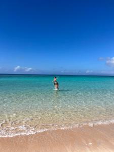 a person riding a horse in the water on a beach at やどバンブー in Hateruma