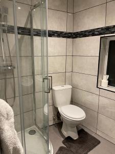a bathroom with a toilet and a glass shower at Holloway one bedroom apartment in London