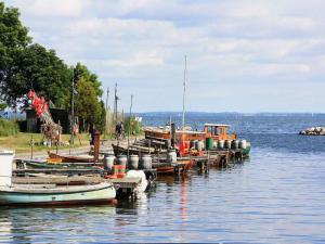 a group of boats docked at a dock in the water at In the Szczecin Lagoon Nature Park in Ueckermünde