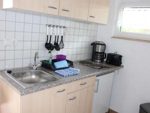 - une cuisine avec un évier et un comptoir dans l'établissement Bungalow Oberspreewald 5, 