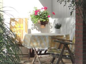una mesa con flores y macetas en un patio en Holiday apartment at the apple tree en Müden