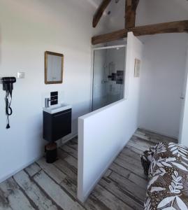 a bedroom with a bed and a sink and a mirror at Le p'tit coin dans les vignes in Restigné