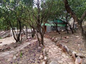 a stone path in front of a building with trees at D-TURA Guest House in Sekenani